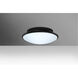 Silk 2 Light 13 inch Flush Mount Ceiling Light