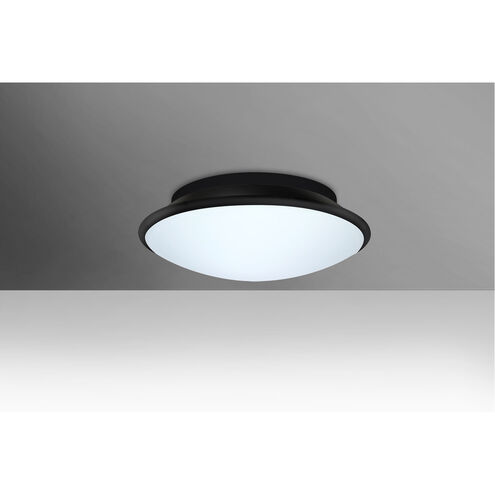Silk 2 Light 13 inch Flush Mount Ceiling Light