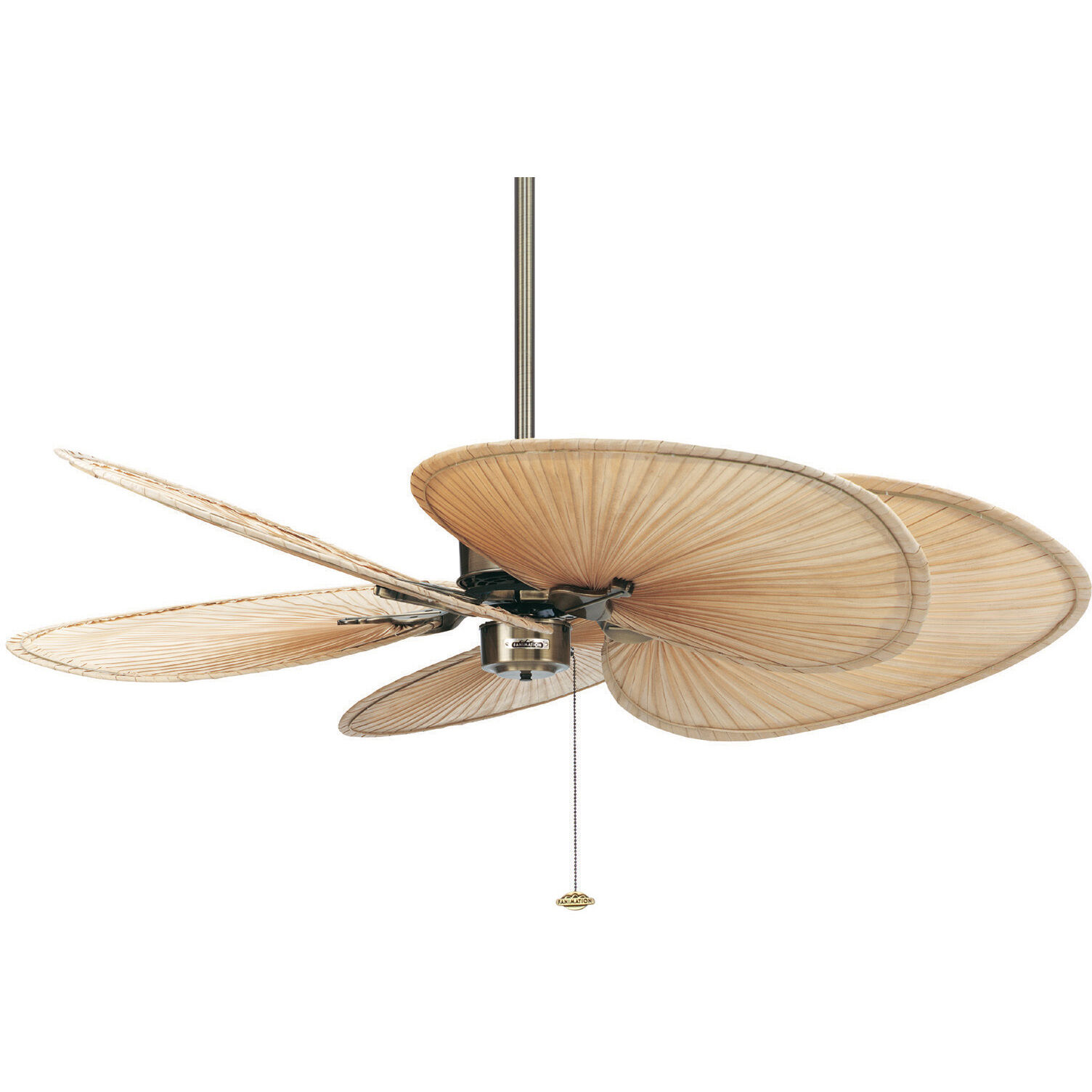 Blades Palm Natural Palm 22 inch Each Fan Blades