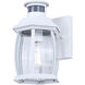 Buckly 1 Light 10.25 inch White Outdoor Wall Lantern