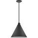 Arti 1 Light 15 inch Black Pendant Ceiling Light