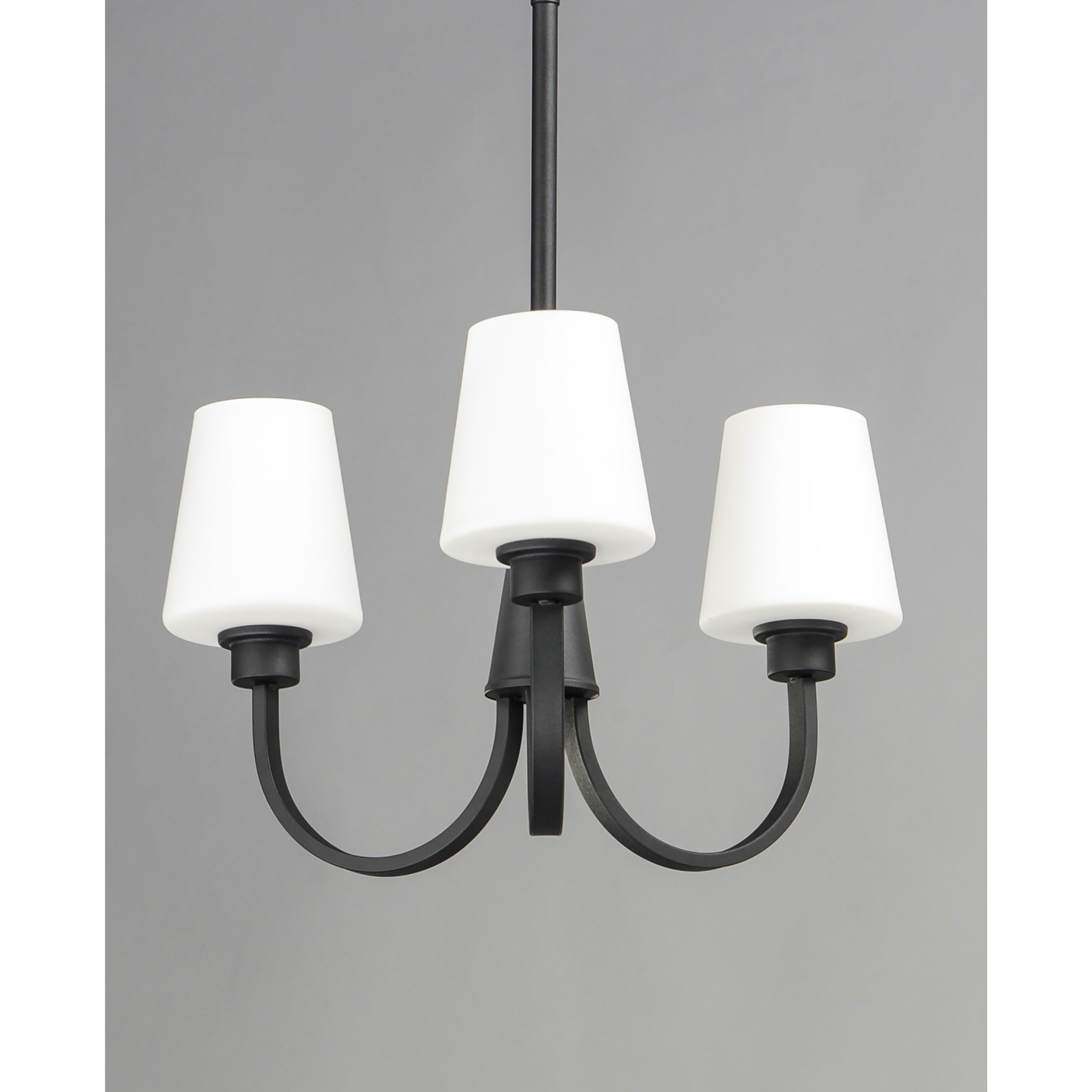 Shelter 3 Light 20 inch Black Chandelier Ceiling Light