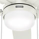 Anisten 52 inch Fresh White with Fresh White/Light Oak Blades Ceiling Fan
