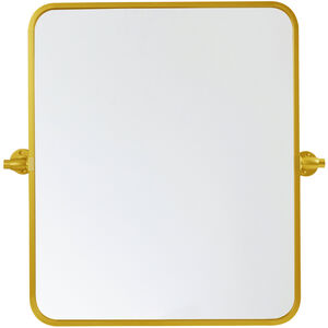 Everly 24 X 20 inch Gold Mirror