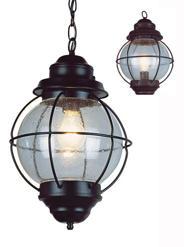 Signature 1 Light 9 inch Rustic Bronze Outdoor Hanging Lantern
