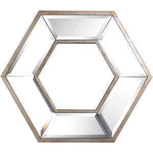 Hexagon 14 X 12 inch Silver and Mirrored Wall Mirror