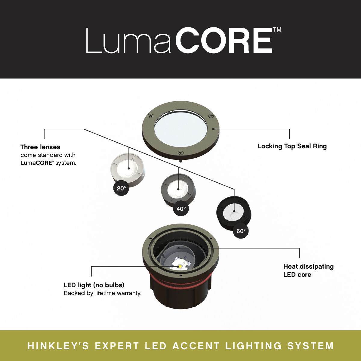 Hardy Island Flat Top 12v 12.00 watt Matte Bronze Landscape Well Light, Variable Output