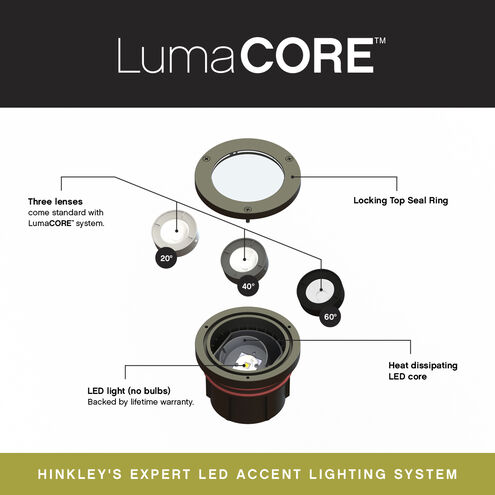 Hardy Island Flat Top 12v 12.00 watt Matte Bronze Landscape Well Light, Variable Output