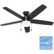 Anisten 52 inch Matte Black with Matte Black/Dark Gray Oak Blades Ceiling Fan