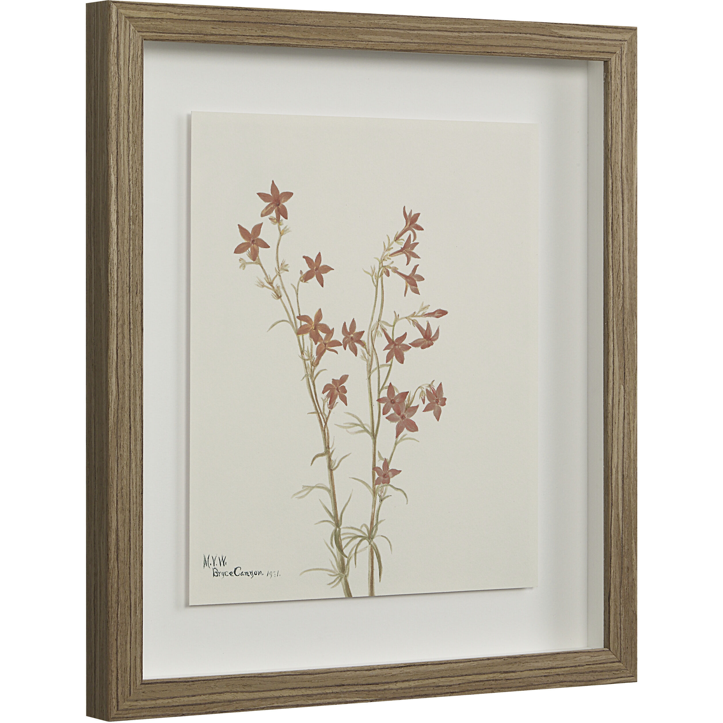 Crema 15 X 13.25 inch Printed Artworks, Set of 9