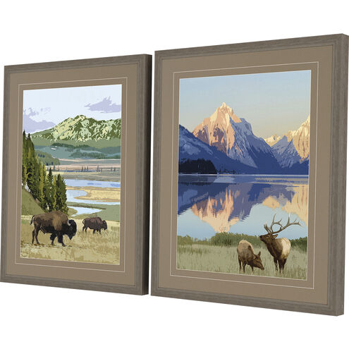 National Parks Multi and Blue and Brown and Green Framed Art
