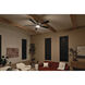Lucian 60 inch Polished Nickel with Black/Silver Blades Ceiling Fan