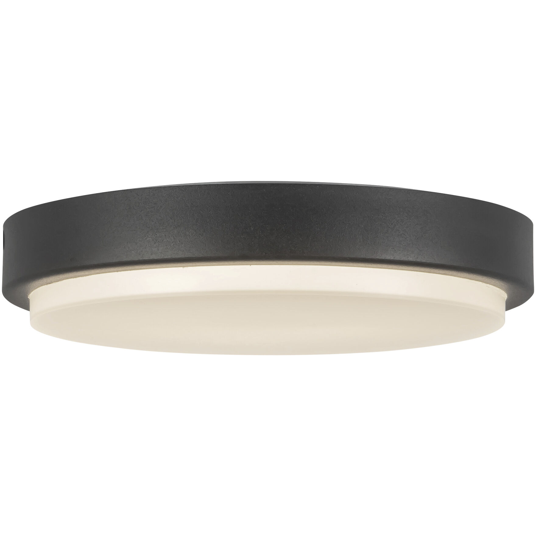 Bailey 9 inch Black Exterior Ceiling