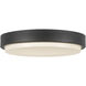 Bailey 9 inch Black Exterior Ceiling