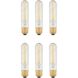 Anthony T10 E26 6.00 watt 120 3000K LED Light Bulb, Pack of 6
