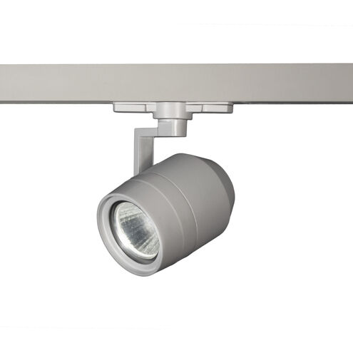 Paloma 1 Light 120 Platinum Track Accessory Ceiling Light in Spot, 85, 3500K