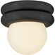 Noa 1 Light 8 inch Black Convertible Flush Mount Ceiling Light