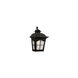 Briarwood 2 Light 16 inch Black Outdoor Pocket Lantern