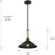 Journey 1 Light 12 inch Natural Black Pendant Ceiling Light