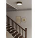 Purelight 2 Light 15 inch Legacy Brass and Dark Matte Black Flush Mount Ceiling Light