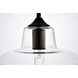 Placido 1 Light 10 inch Black and Clear Pendant Ceiling Light
