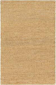 Curacao 36 X 24 inch Tan Rug in 2 x 3, Rectangle