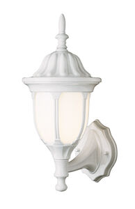 Hamilton 1 Light 19 inch White Outdoor Wall Lantern