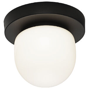 Pizzazz Wall Sconce Wall Light in Matte Black