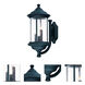 Walnut Grove 3 Light 19 inch Black Exterior Wall Lantern