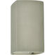 Ambiance Rectangle LED 13.5 inch Celadon Green Crackle Outdoor Wall Sconce, Large