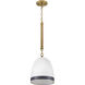 Nash 1 Light 10 inch Heritage Brass with Black accents Pendant Ceiling Light