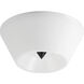 Tack LED 10 inch Black Flush Mount Ceiling Light