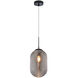 Maruna 1 Light 8.88 inch Matte Black and Smoked Pendant Ceiling Light