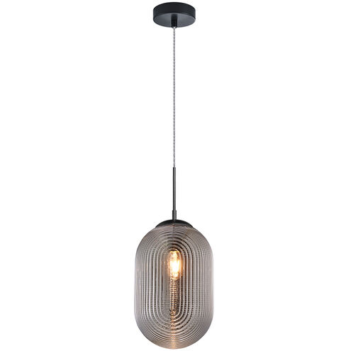 Maruna 1 Light 8.88 inch Matte Black and Smoked Pendant Ceiling Light