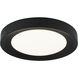 Essene LED 15 inch Black Flush Mount Ceiling Light