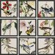 Animals Collection Multi Framed Art
