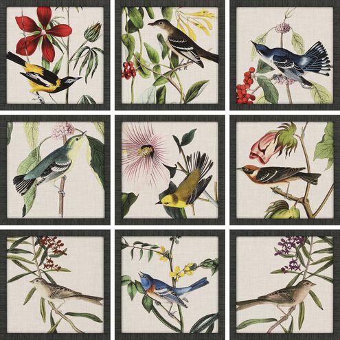 Animals Collection Multi Framed Art