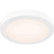 Prime 1 Light 9 inch White Flushmount Ceiling Light