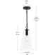 Jheni 1 Light 8 inch Matte Black Pendant Ceiling Light