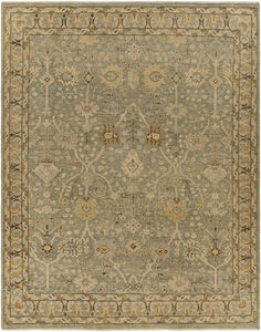 Reign 36 X 24 inch Light Brown Rug, Rectangle