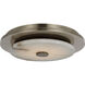 Anne-Marie Barton Lunara LED 14 inch Pewter Flush Mount Ceiling Light