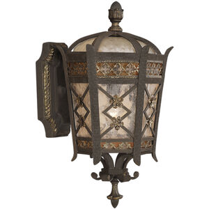 Chateau Outdoor 1 Light 15 inch Bronze Outdoor Wall Mount
