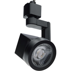 Lantern 1 Light 120 Black Track Lighting Ceiling Light