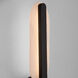 Avian 2 Light 5.75 inch Black Vanity Light Wall Light