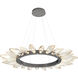 Rock Crystal LED Graphite Chandelier Ceiling Light, Radial Ring