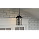 Brampton 1 Light 10 inch Matte Black Outdoor Hanging Lantern