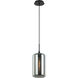 Irresistible Organic Charm 1 Light 7.13 inch Smoke Pendant Ceiling Light
