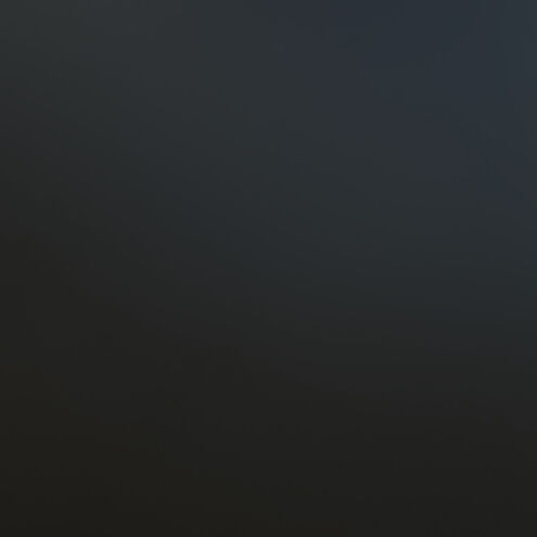 Franklin LED 10 inch Oil Burnished Bronze and Light Gold Outdoor Pendant