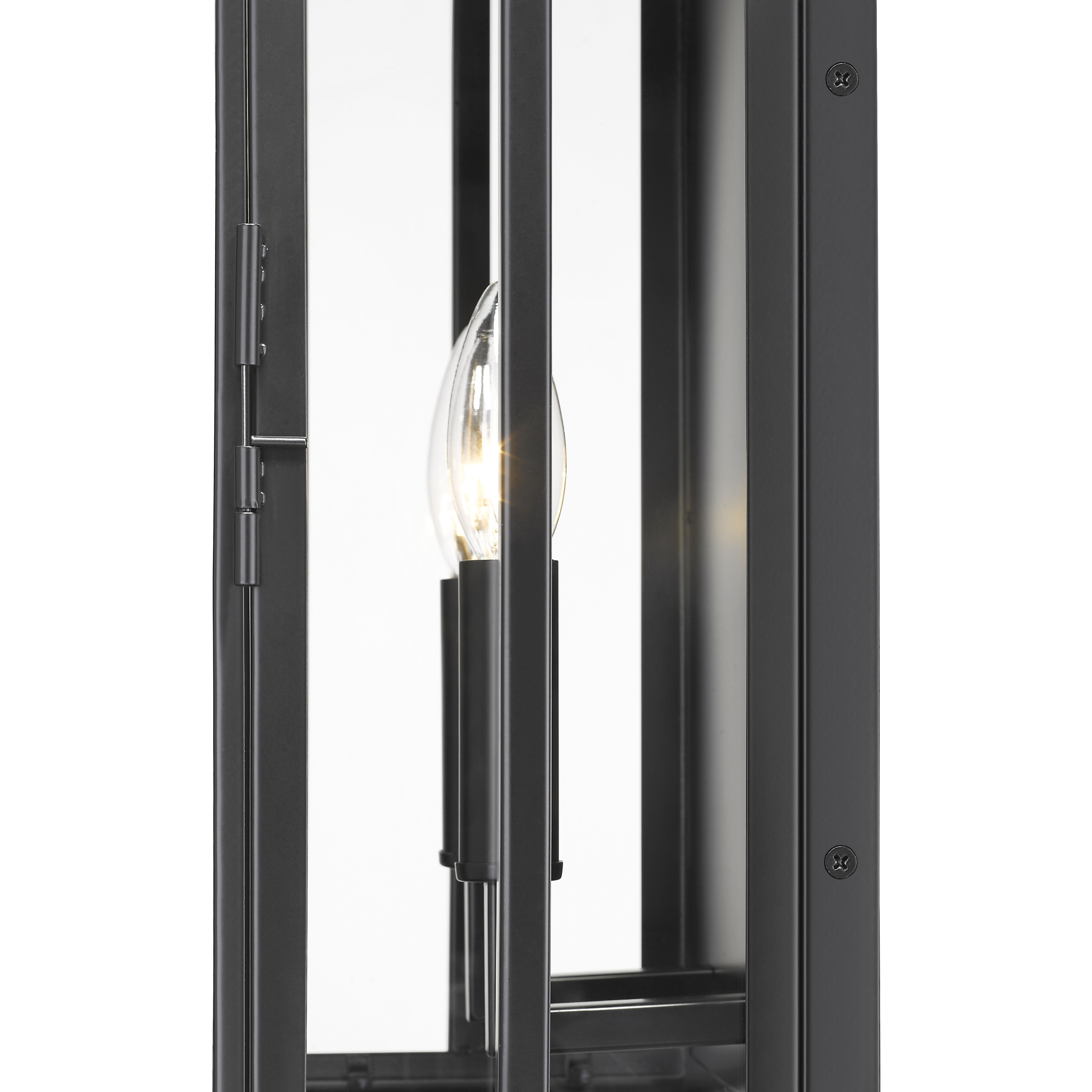 Lucian 2 Light 21.5 inch Black Outdoor Wall Light