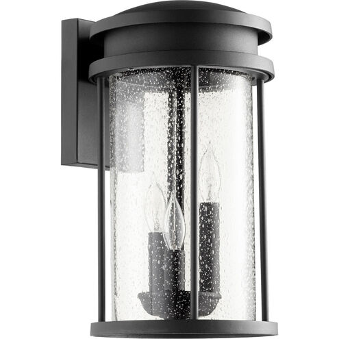Hadley 3 Light 14.5 inch Noir Outdoor Wall Lantern